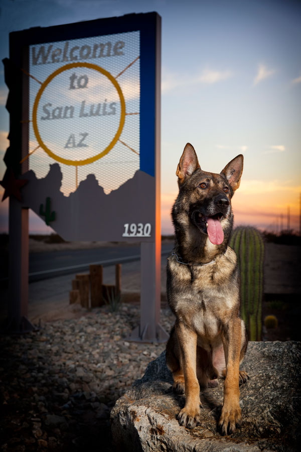 K9 Denis