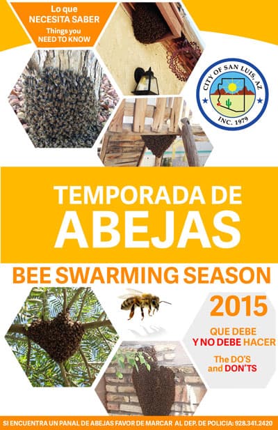 Bee Removal